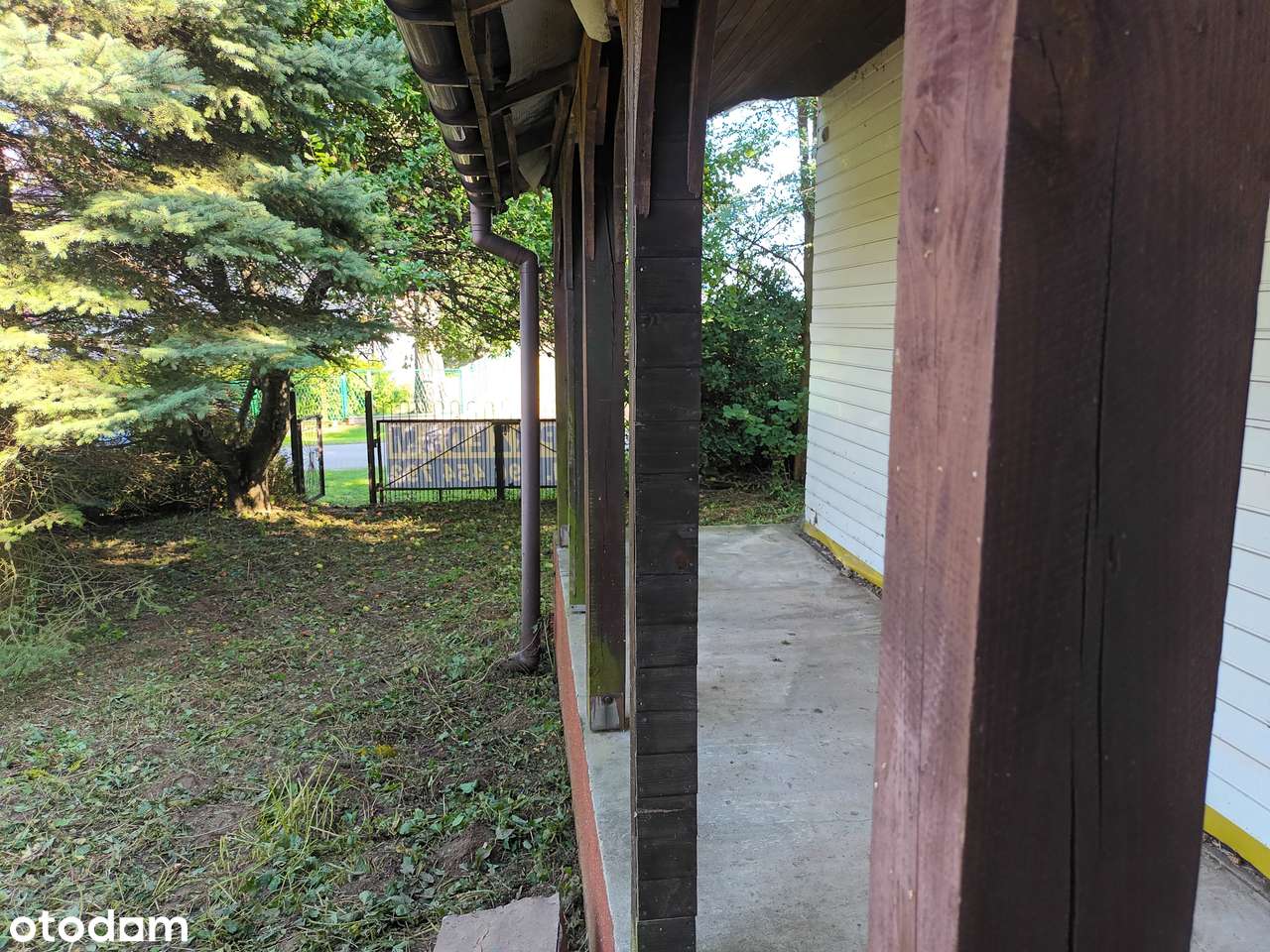 Działka godzinę drogi od Krakowa 0,7 ha Przybysławice - OBNIŻKA CENY! - Pełny obrazek: 4/11