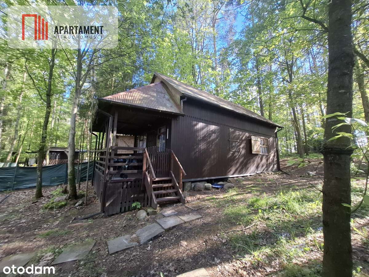 Tylko u nas! Domek nad jeziorem! cisza i spokój - Pełny obrazek: 4/12