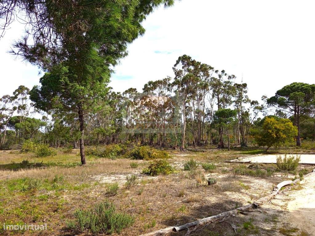 Casa de campo a 5 minutos da praia - Melides-6