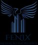 Real Estate agency: Fenix Mediação Imobiliária