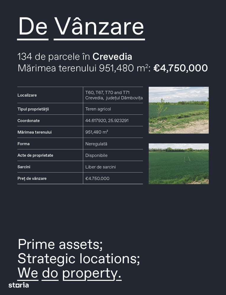 Crevedia-DN 1A-Bucuresti-Targoviste - Imagine principală: 3/3