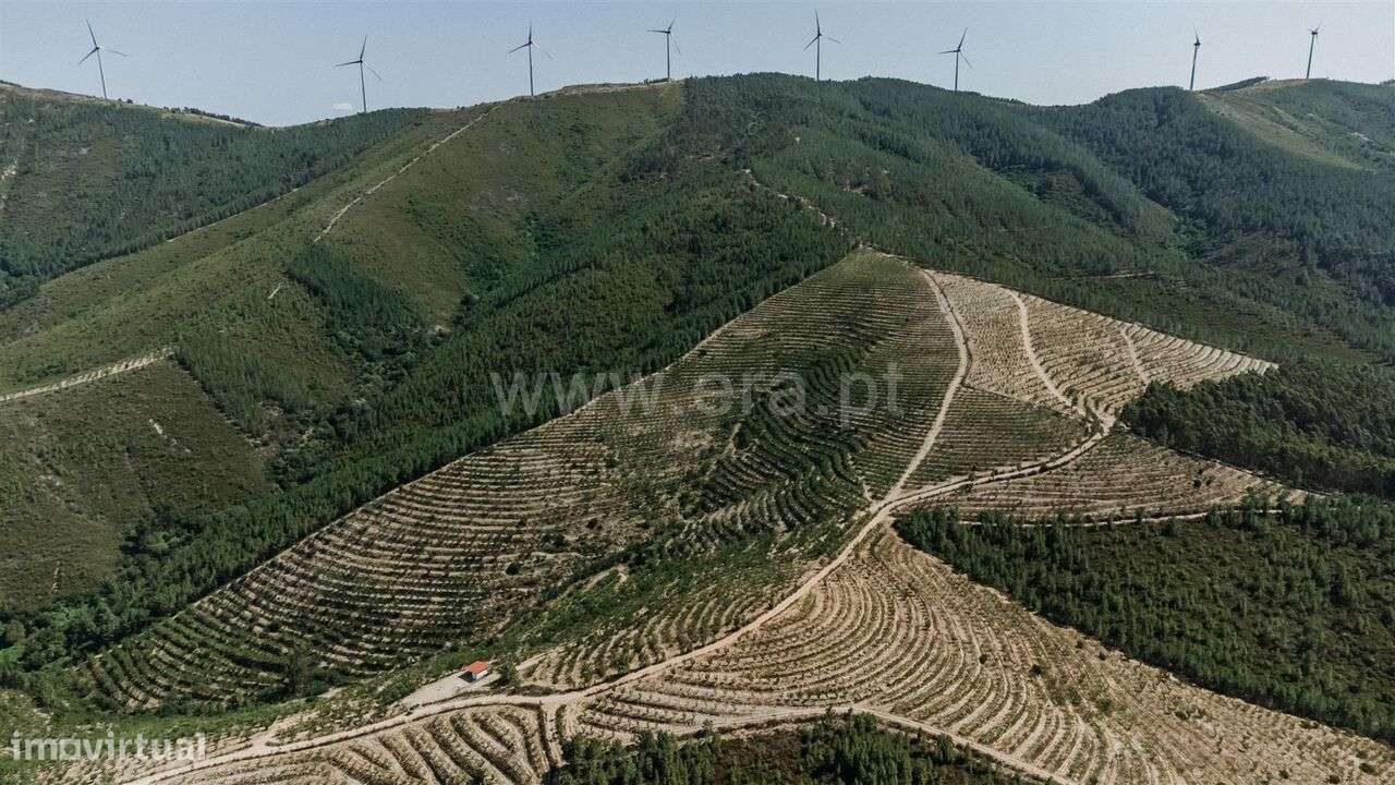 Terreno / Fundão, Castelejo - Grande imagem: 4/11