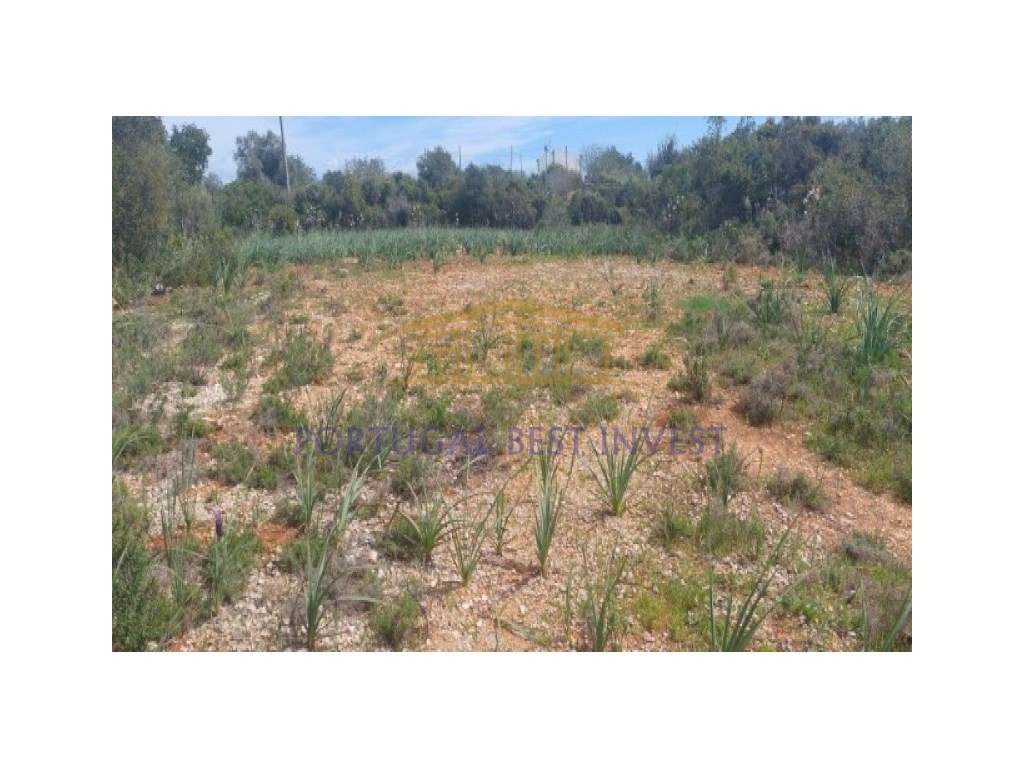 Terreno agrícola na Guia, Albufeira - Grande imagem: 4/15