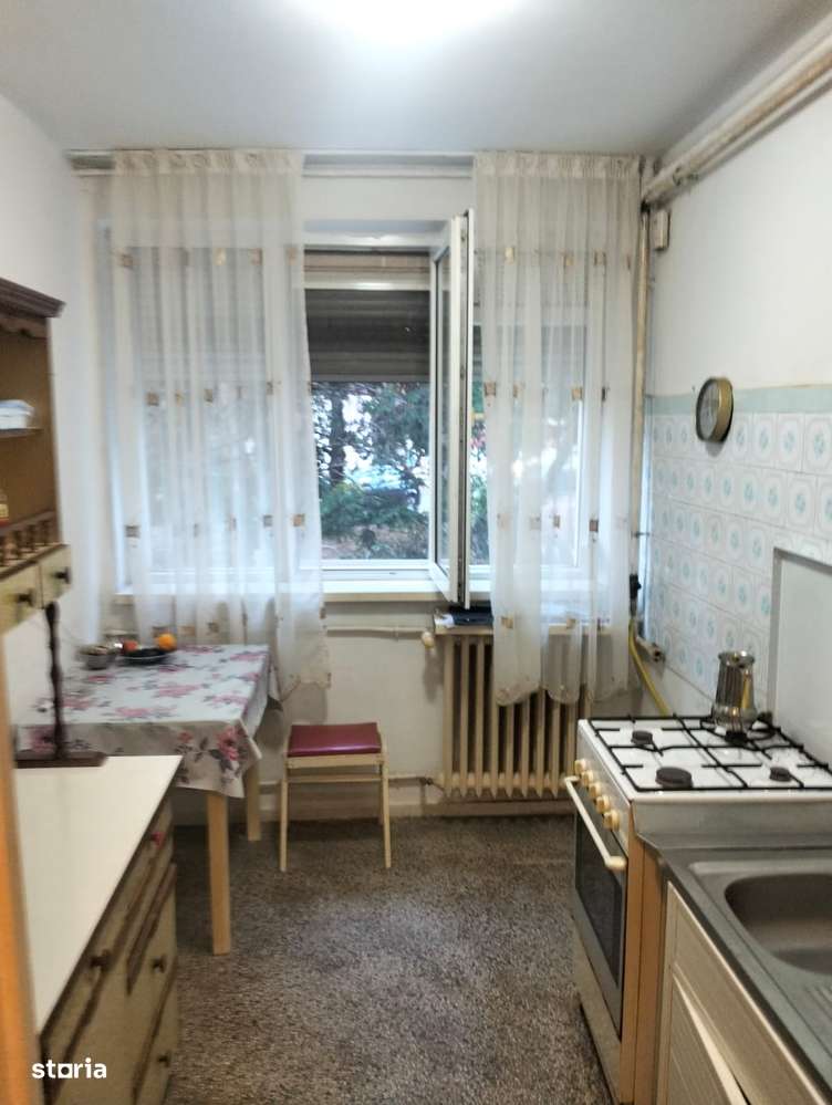 campia libertatii cu baba novac 3 minute de parc ior statuie cuza-5