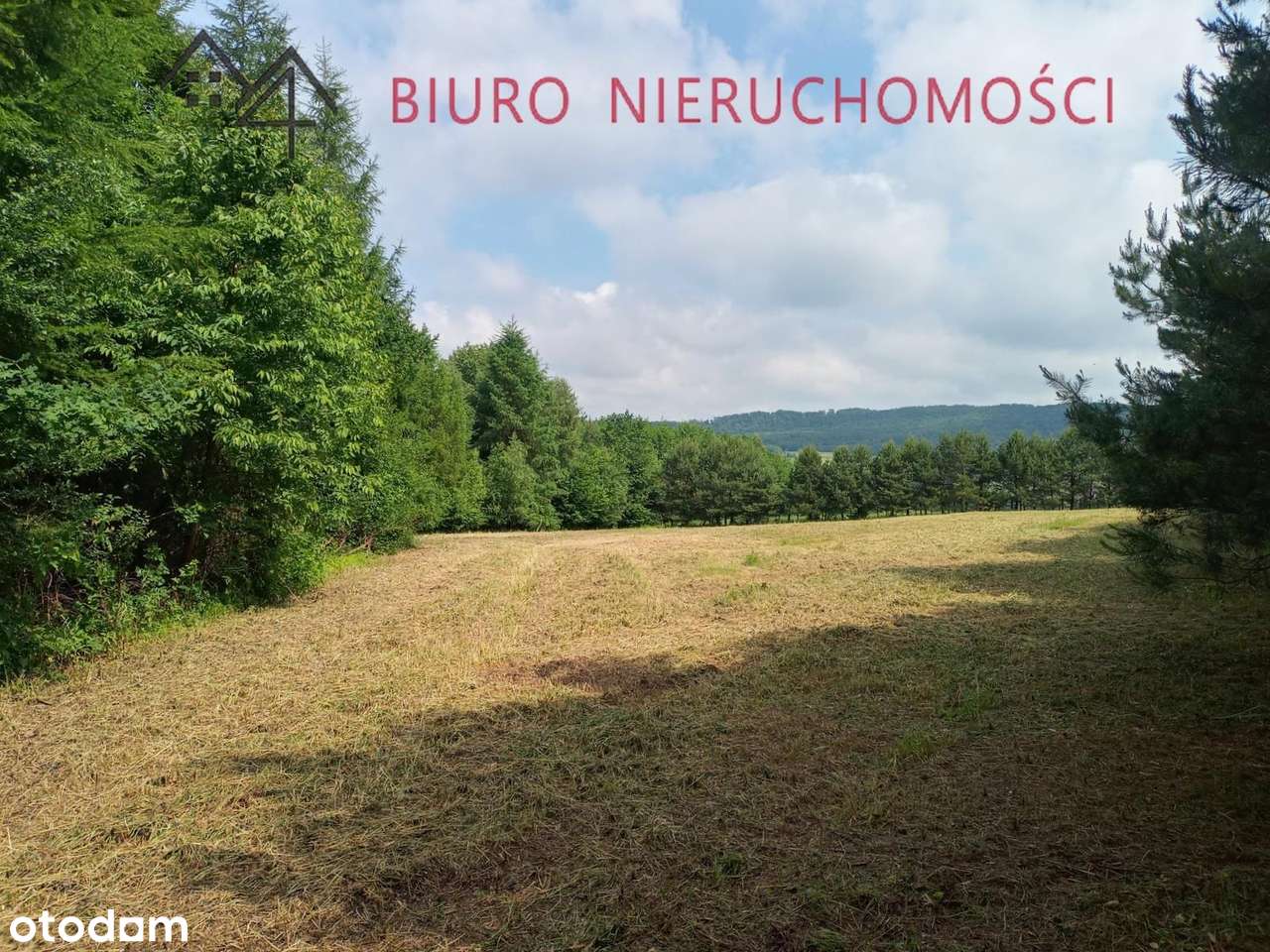 Lalin -  działka idealna pod domki letniskowe - Pełny obrazek: 4/16