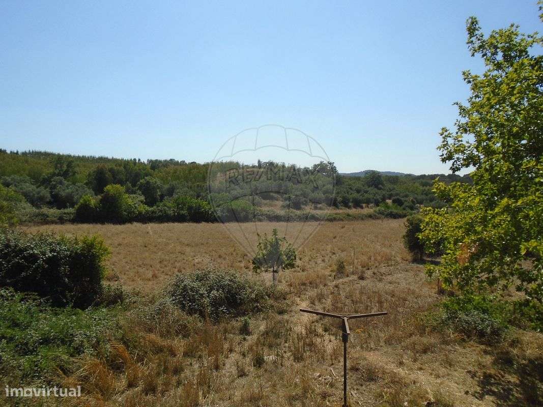 Quinta T5 para venda-5