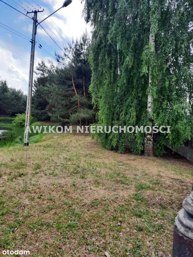 Działka, 8 600 m², Strzyboga - Pełny obrazek: 4/5