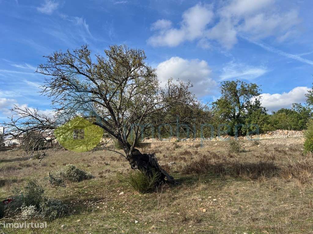 TERRENO RÚSTICO COM ZONA DE EQUADRAMENTO DE EDIFICAÇÃO DISPERSA-21