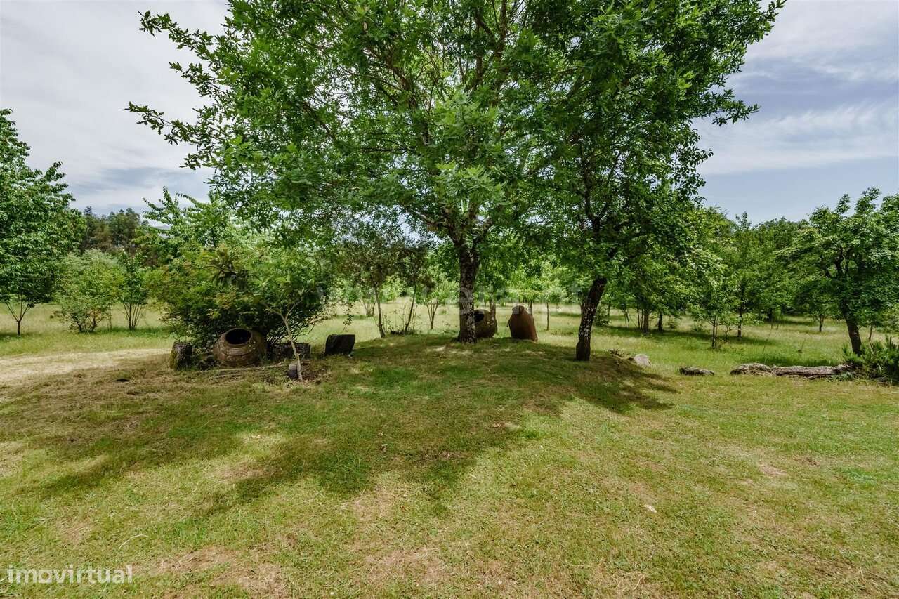 Quinta T4 / Seia, Folhadosa-8
