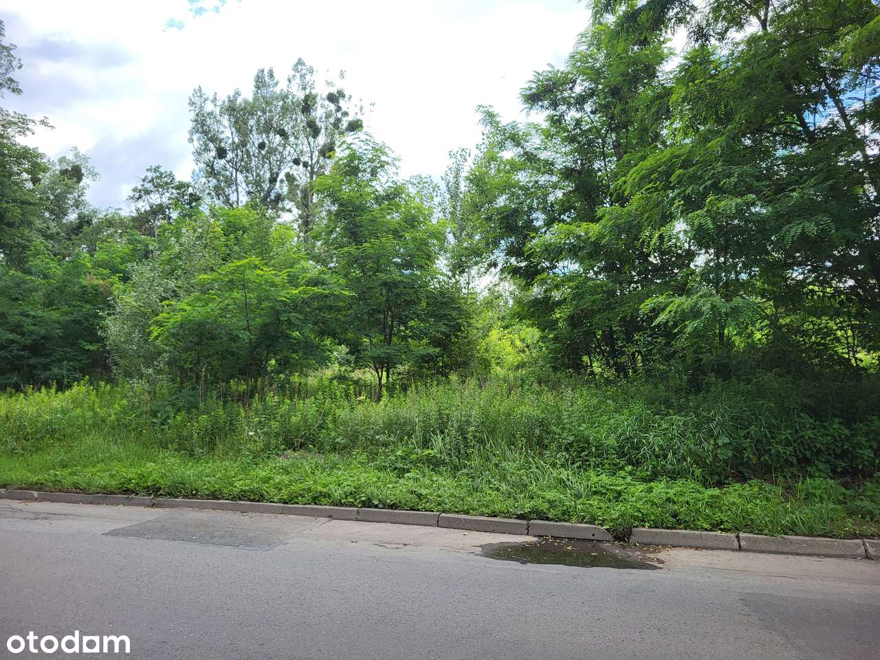 Grunt inwestycyjny (bezpośrednio od właściciela - Pełny obrazek: 2/5