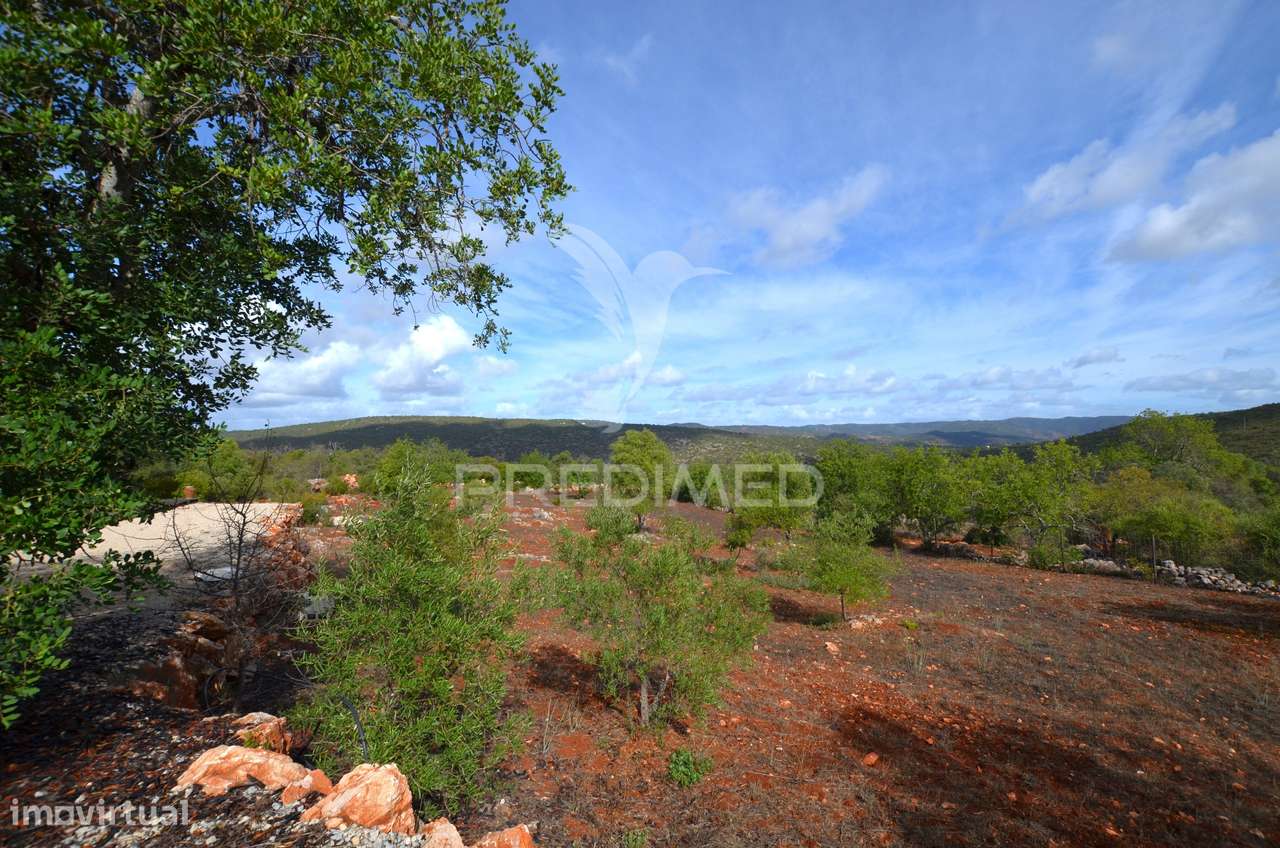 Terreno em Nave das Mealhas, Salir - Grande imagem: 4/38