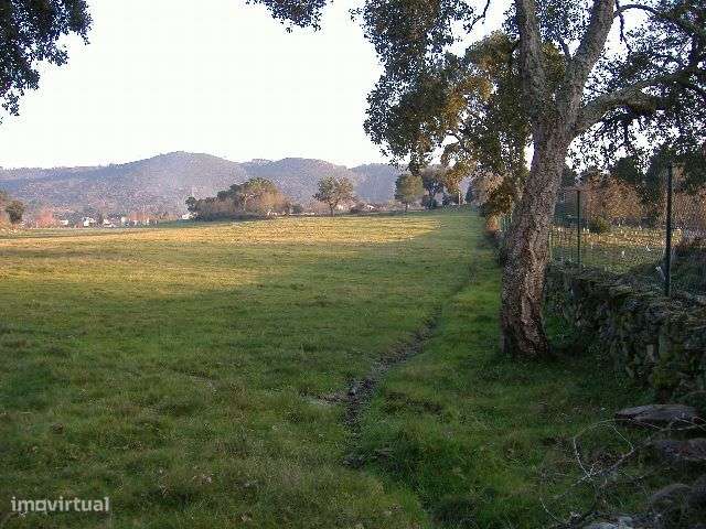 Quinta em Chaves Terreno 50 Ha (500 mil M2) Construção 1.593 m2-11