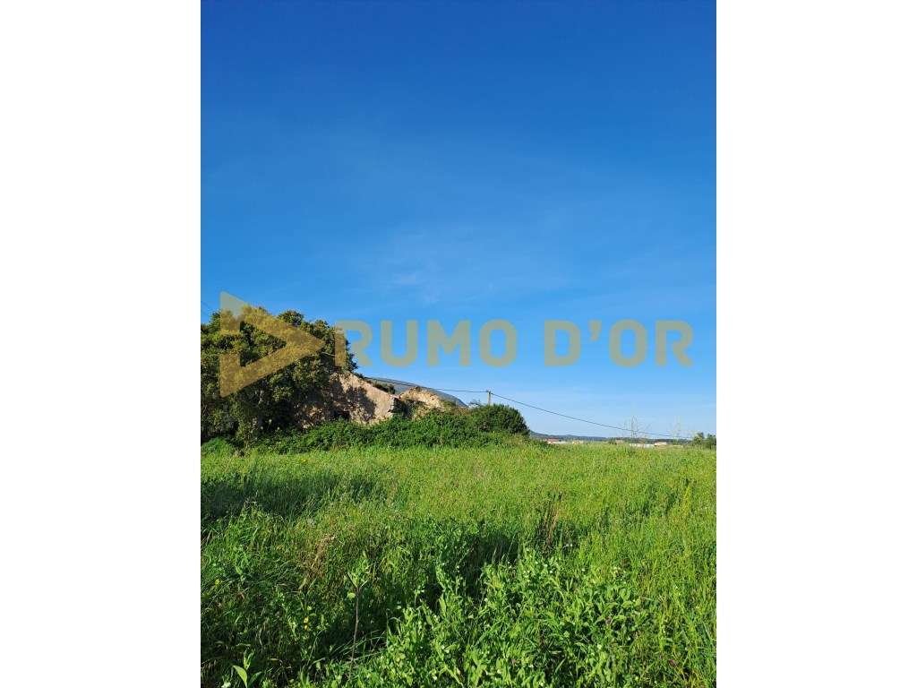 Terreno Rústico em Penedos de Alenquer - Grande imagem: 4/6