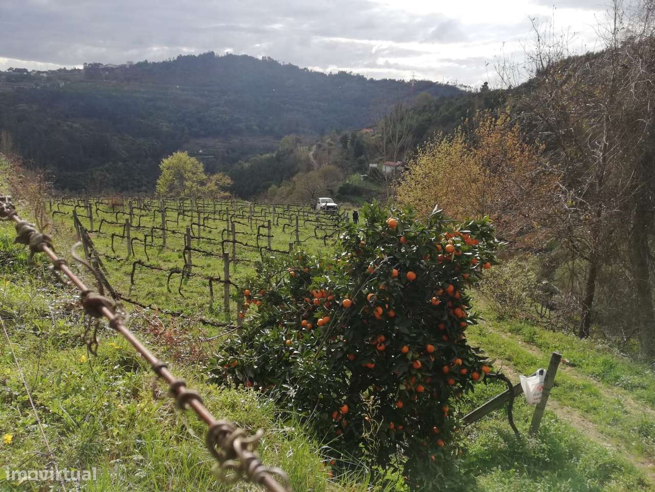 Terreno  Venda em Souselo,Cinfães - Grande imagem: 4/14