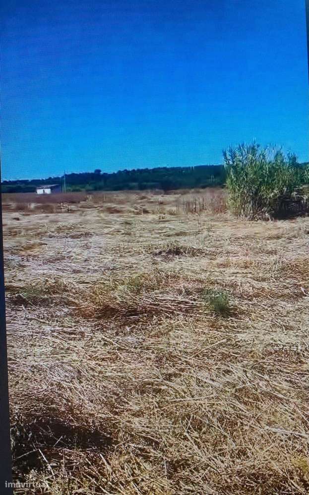 Terreno Rústico no Ludo, Almancil – 8.400 m² Próximo da Quinta do Lago - Grande imagem: 5/7