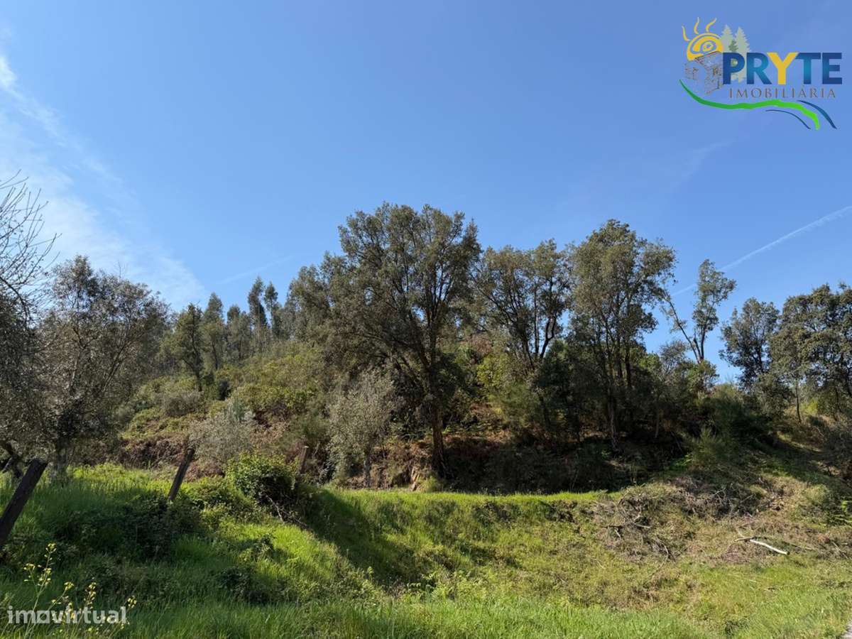 Terreno com uma ruína não registada a 6 quilómetros da Sertã - Grande imagem: 4/37