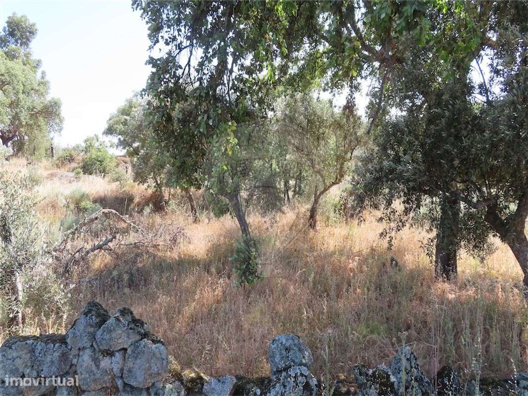 Quinta  para venda - Grande imagem: 2/10