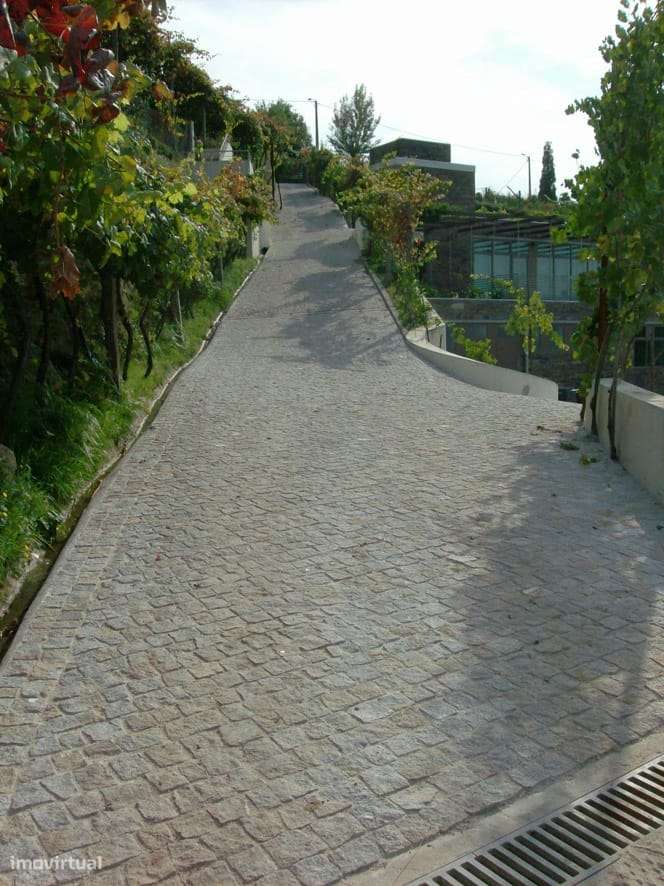 Quinta T7 Venda em Fornos,Castelo de Paiva - Grande imagem: 5/18