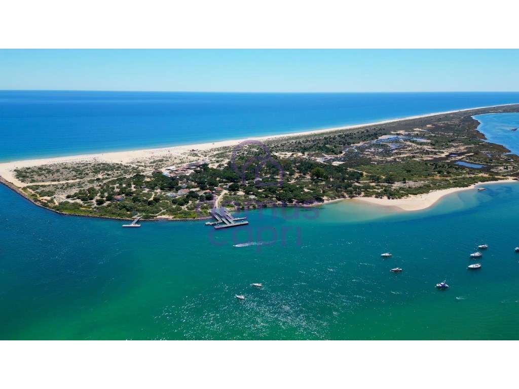 Moradia T2+1 com Quintal em Mato Santo Espírito - Tavira-33