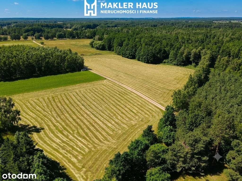 Wyjątkowa działka 6400 m2 z wydanymi Warunkami Zabudowy  Pilchy- Pisz-4