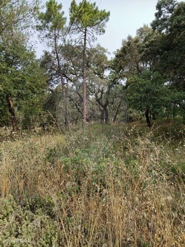 Terreno  para venda - Grande imagem: 4/8