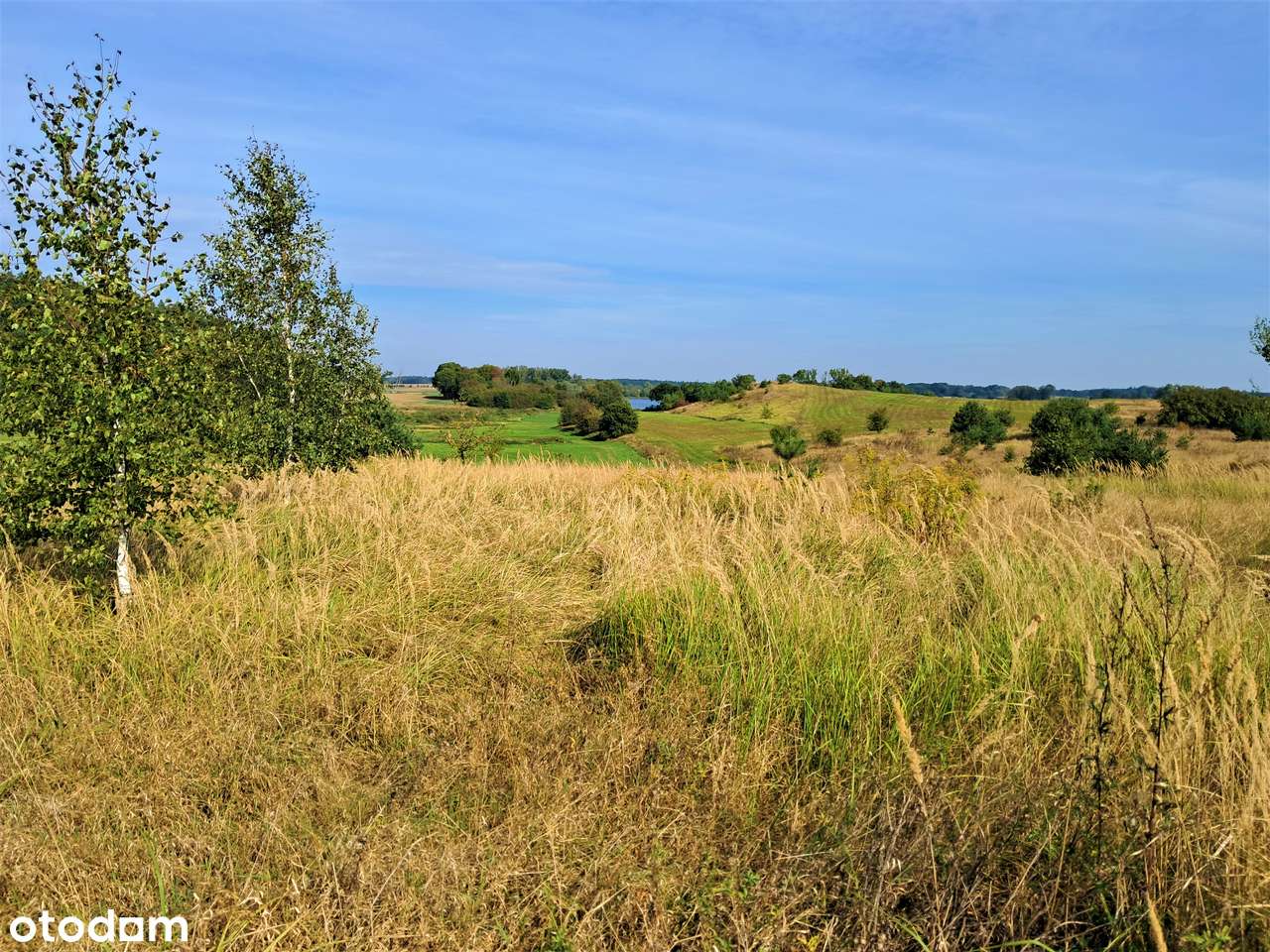 Na sprzedaż 5 działek budowlanych w Ławach z pięknym widokiem-2