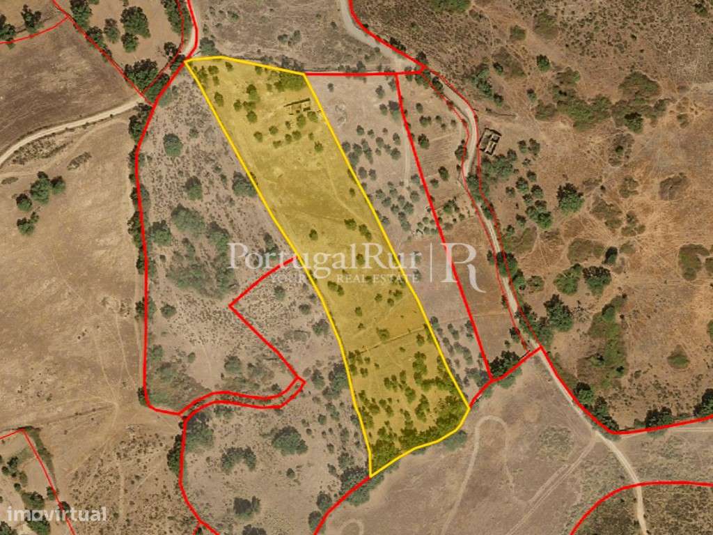 Quintinha com 1,2ha e ruína urbana em São Miguel Acha-22