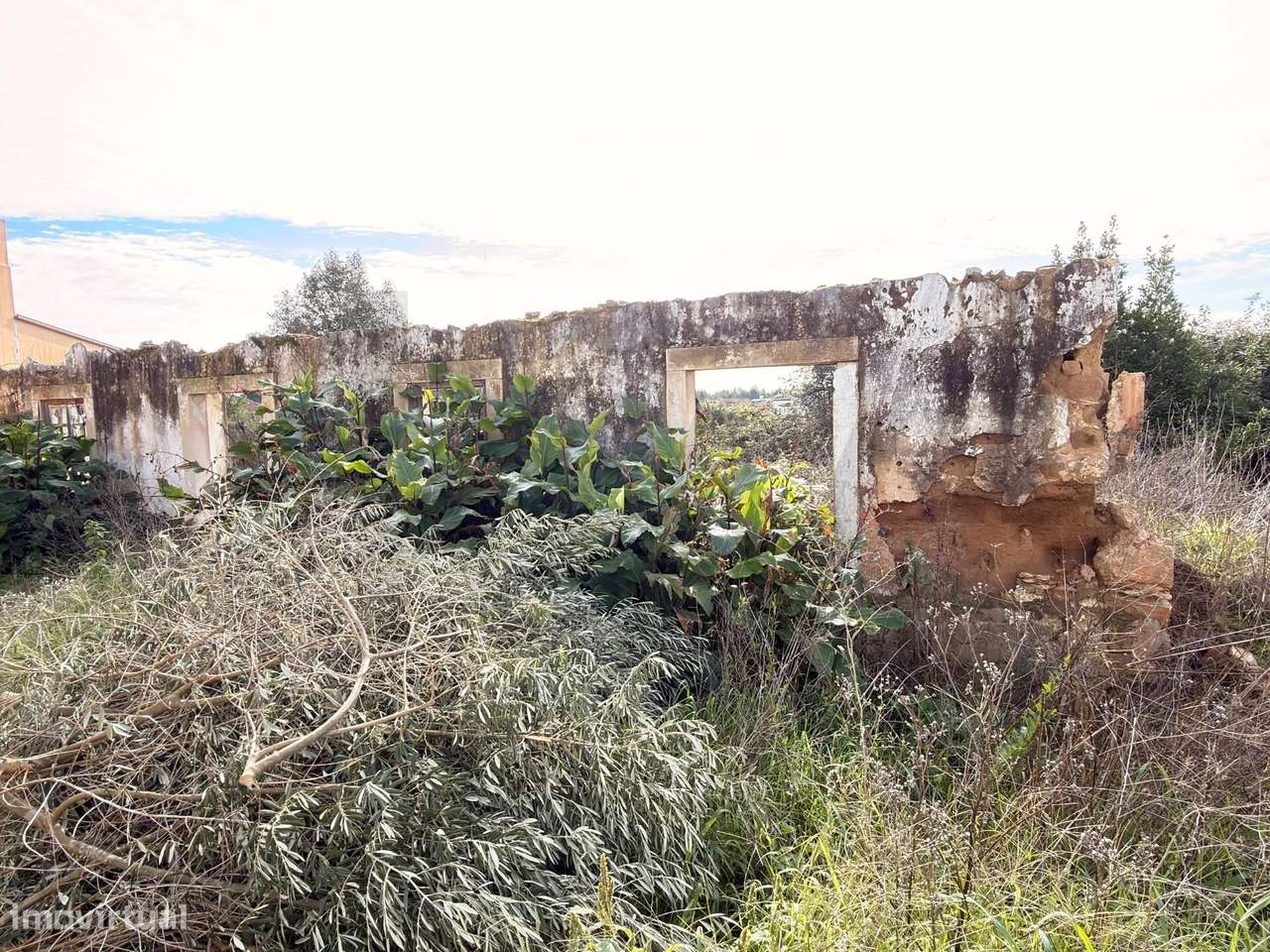 Fantastico Terreno em Póvoas - Rio Maior - Grande imagem: 2/3