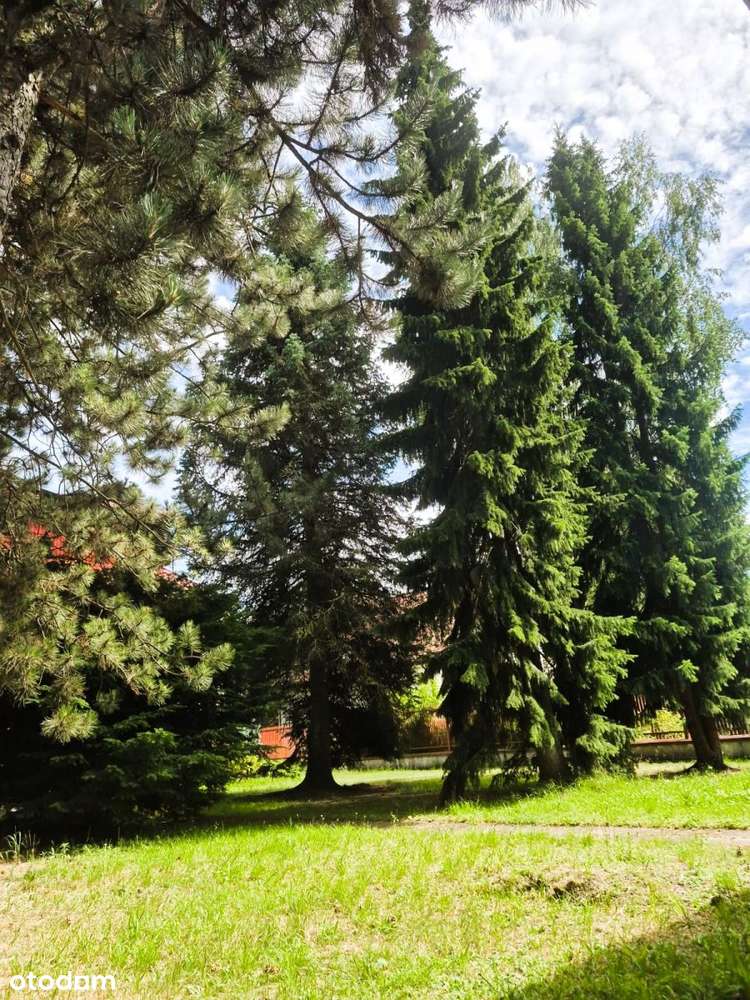 Wygodny dom w świetnej lokalizacji ok ul. Chochoła-13