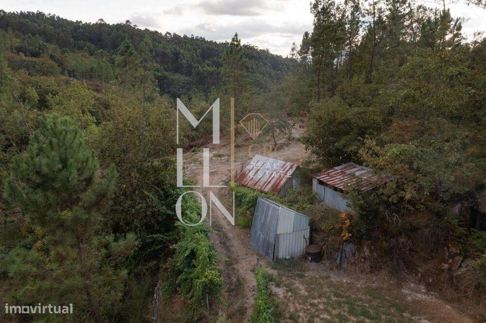 Terreno à Venda no Salvador, Amarante – 3.825m2 - Grande imagem: 5/5