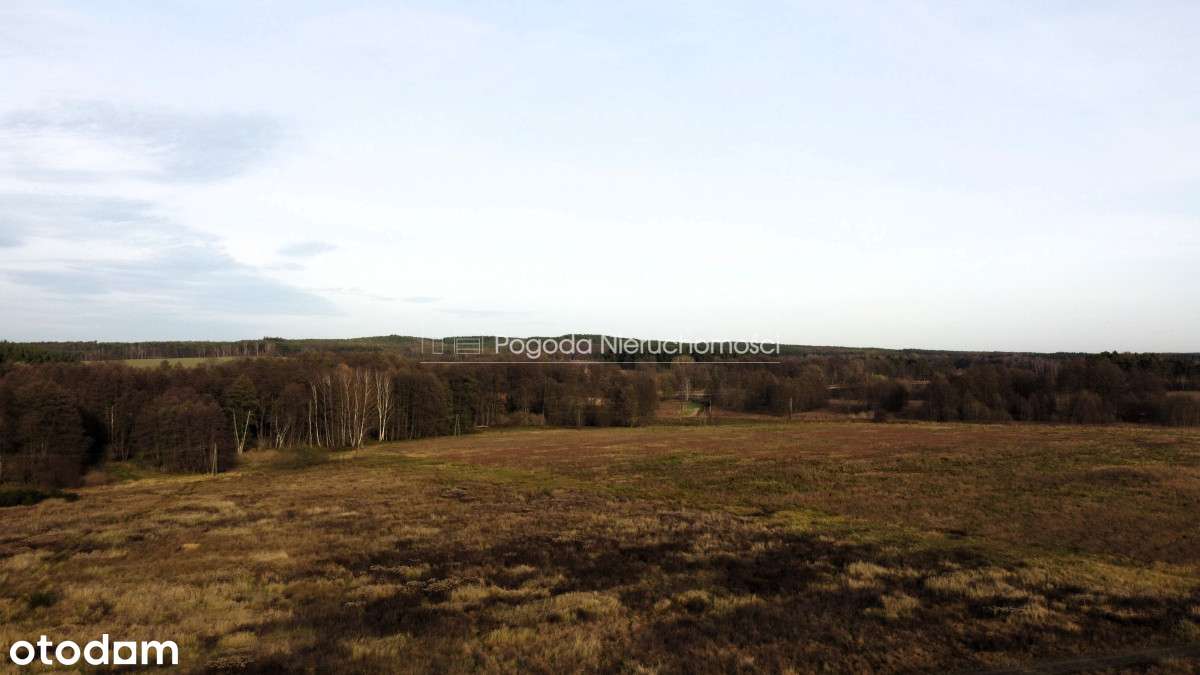 Działki na sprzedaż - Trzebule-3
