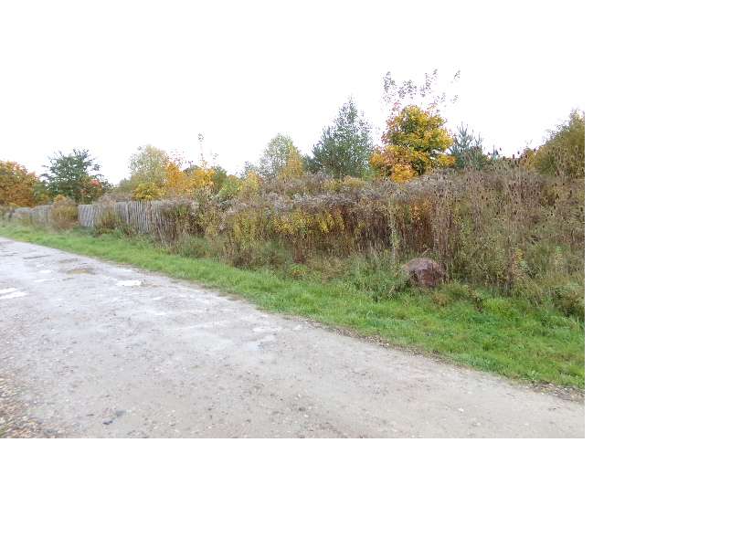 Działka o pow. 2923 m2 w Ługwałdzie ul. Bukszpanowa - Pełny obrazek: 2/4