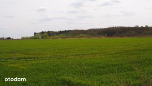 Grunty rolne w Dłużniewie gm Baboszewo