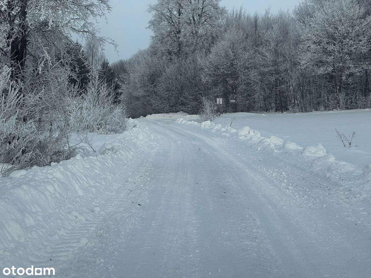 Urokliwe siedlisko na sprzedaż, Warmia-4