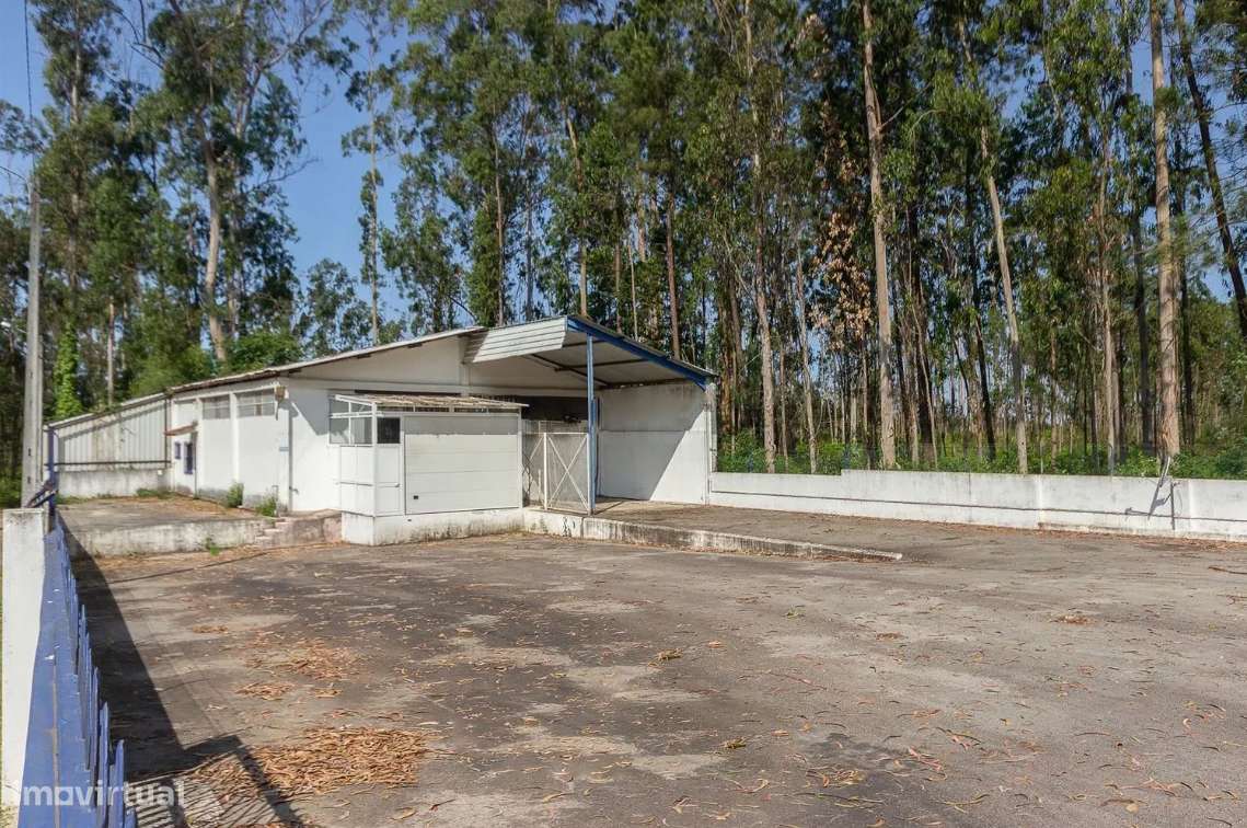 Pavilhão Industrial em Válega, Ovar – Excelente Oportunidade-2