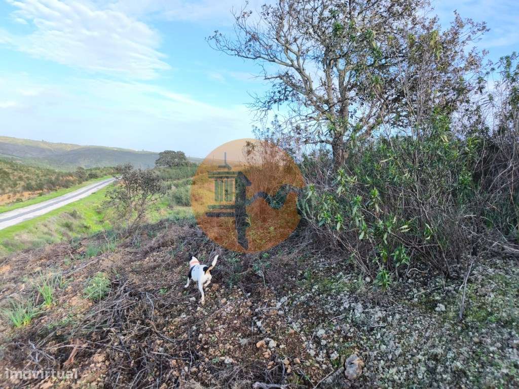 TERRENO RÚSTICO COM 10.160 M² - ACESSO POR ASFALTO - PRÓXIMO A ALDE... - Grande imagem: 4/21