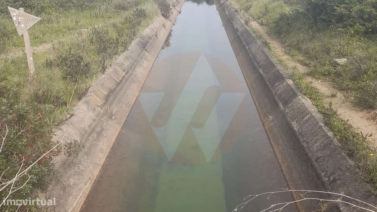 Excelente Terreno para Agrícultura - Grande imagem: 2/3