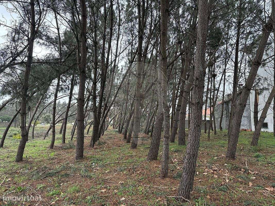 Terreno  para venda - Grande imagem: 5/10