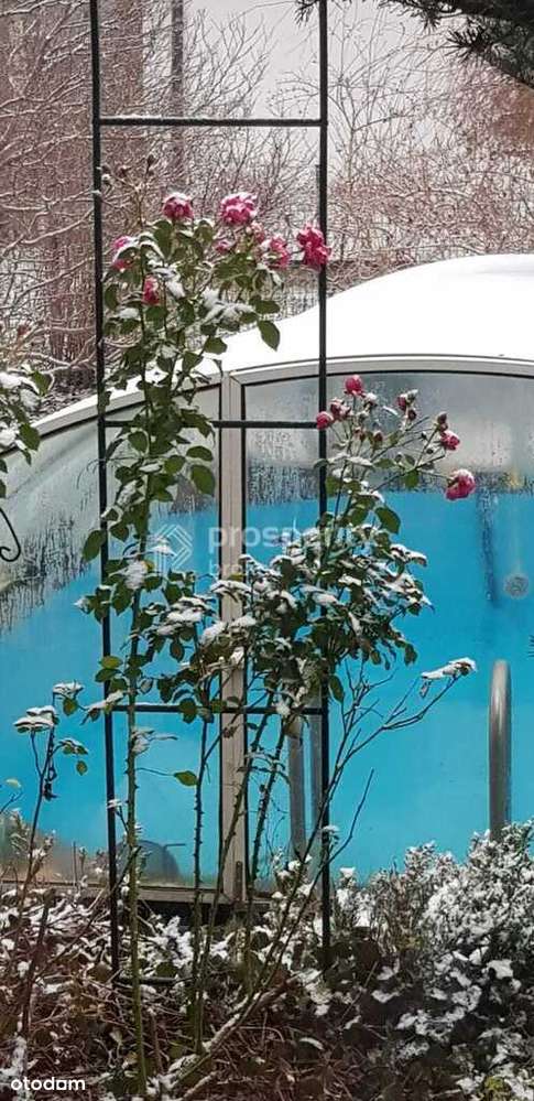 Willa "Dwa Światy" w otulinie Lasu Kabackiego-14