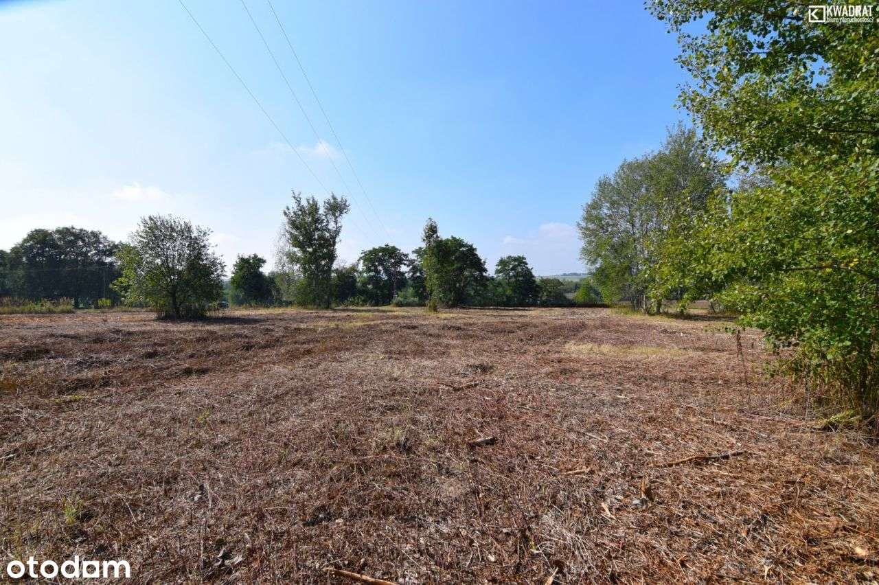 Jabłonna Pierwsza/ działka siedliskowa/ 33 ar - Pełny obrazek: 4/9