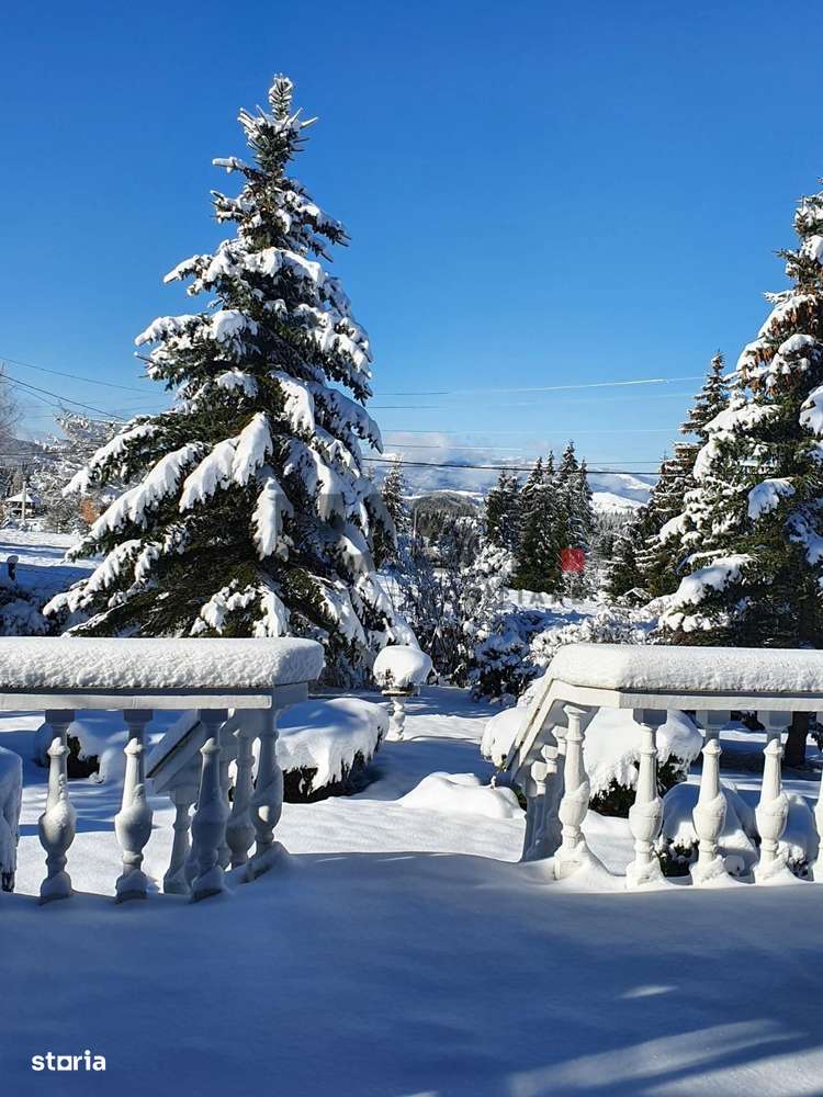 Cabana din Beliș — locul pe care îl căutai. Apuseni!-14