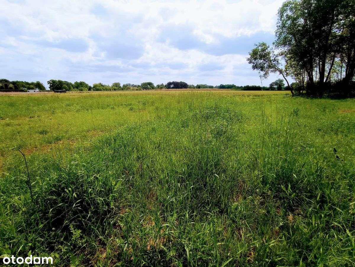 *Duża działka*Górsk*ul. Prosta*2210 m2* - Pełny obrazek: 5/12