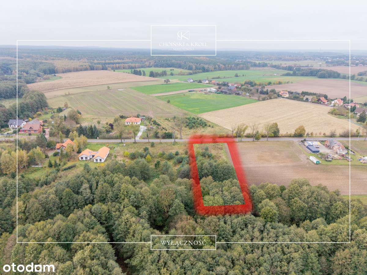 Boduszewo | Puszcza Zielonka | Bez prowizji! - Pełny obrazek: 5/9