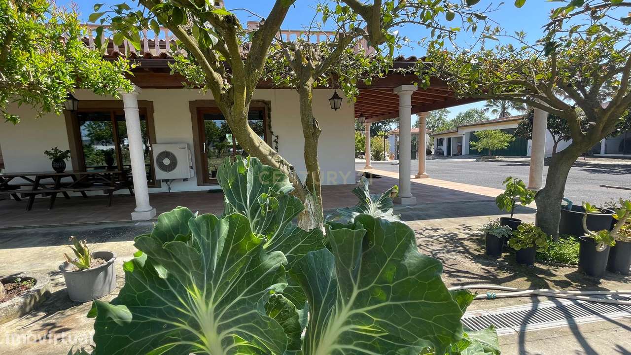 Quinta Rústica em Benavente-9