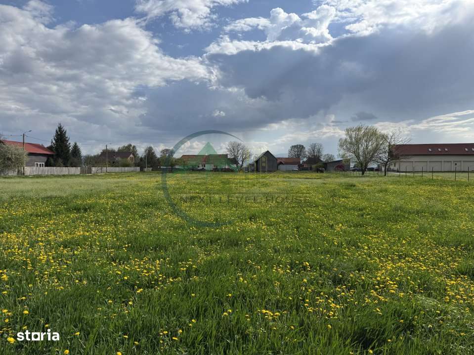 Teren Sat Bacel 6200 mp - Imagine principală: 4/8