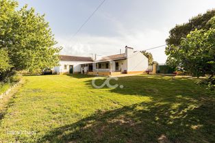 Quinta de 9250m2 c/ Moradia T4 térrea, anexo e armazém | Azaruja