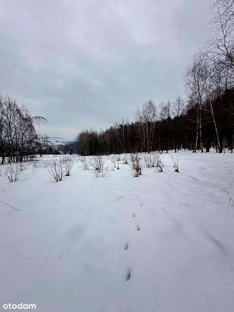Duża działka pod lasem - Łazany blisko Wieliczki i Gdowa-10
