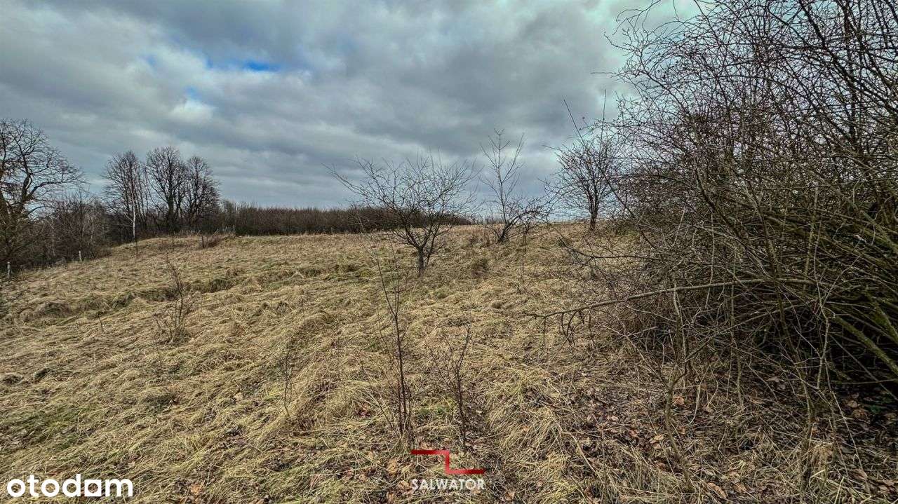 Działka rolna 25 ar Zalas gm. Krzeszowice - Pełny obrazek: 5/16