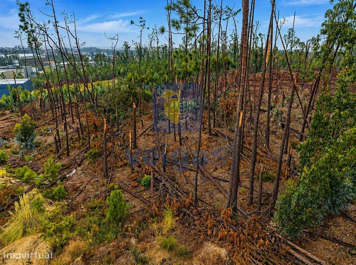 Terreno Industrial com 2568m2 para construção de armazém, indústria ou-5