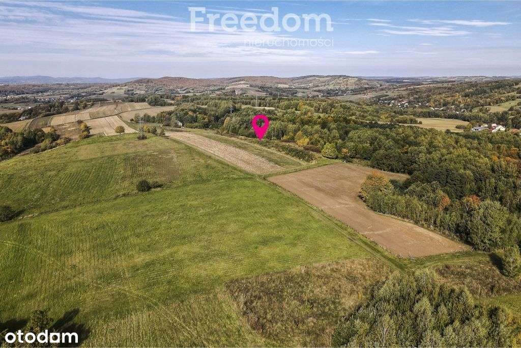 Działka 44 ary przy lesie w Grabówce - Pełny obrazek: 1/15